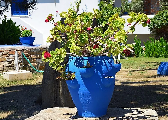 Διαμέρισμα Didymes