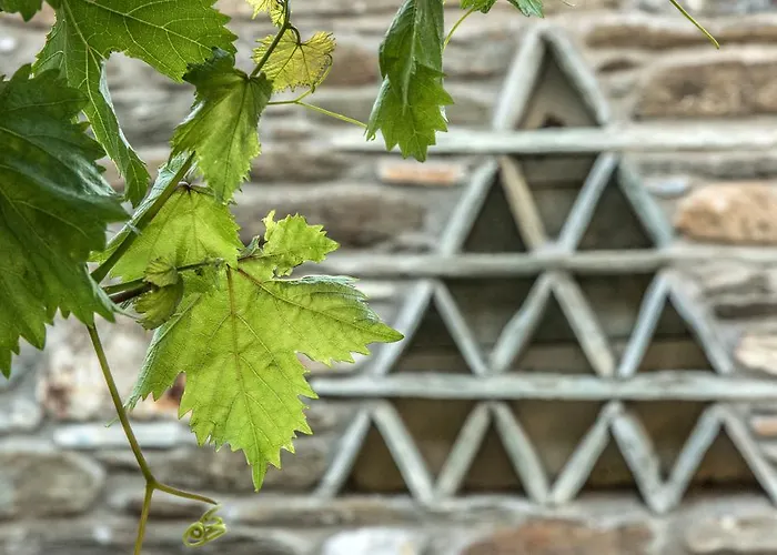 Didymes * Κιόνια