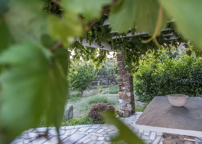 Didymes Διαμέρισμα Κιόνια