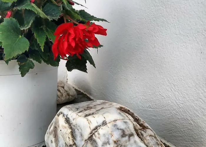 Διαμέρισμα Didymes