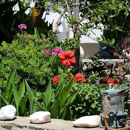 Didymes شقة كيونيا