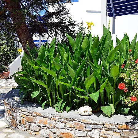 Appartamento Didymes Kionia