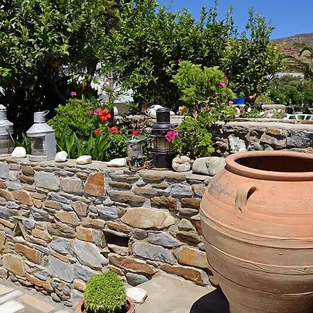 Didymes * كيونيا