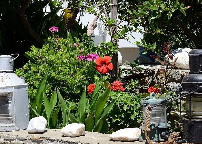 Didymes Studios Apartment Kionia