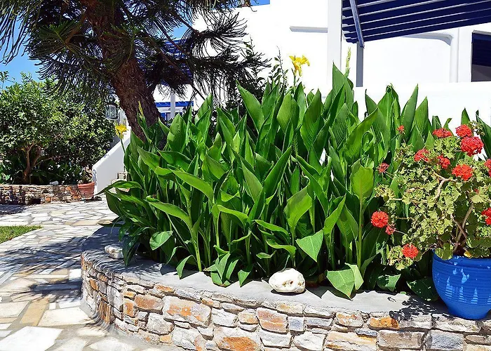 Apartamento Didymes Kionia