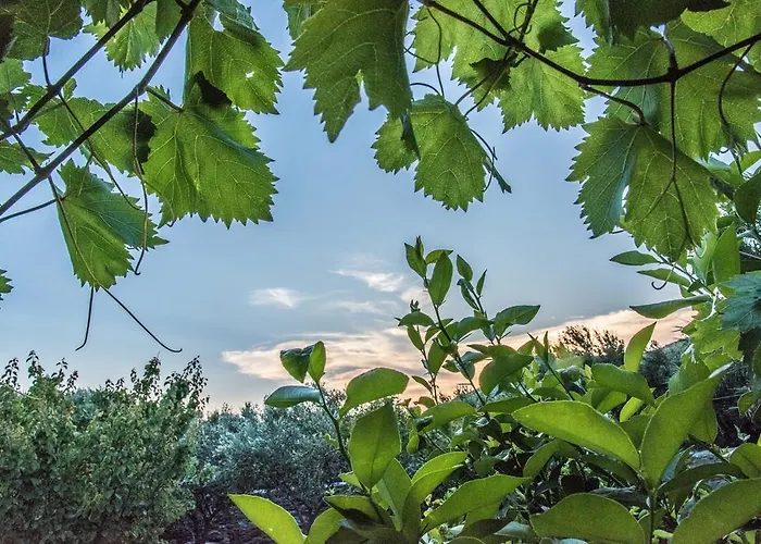 迪戴梅斯一室公寓酒店 基奥尼亚