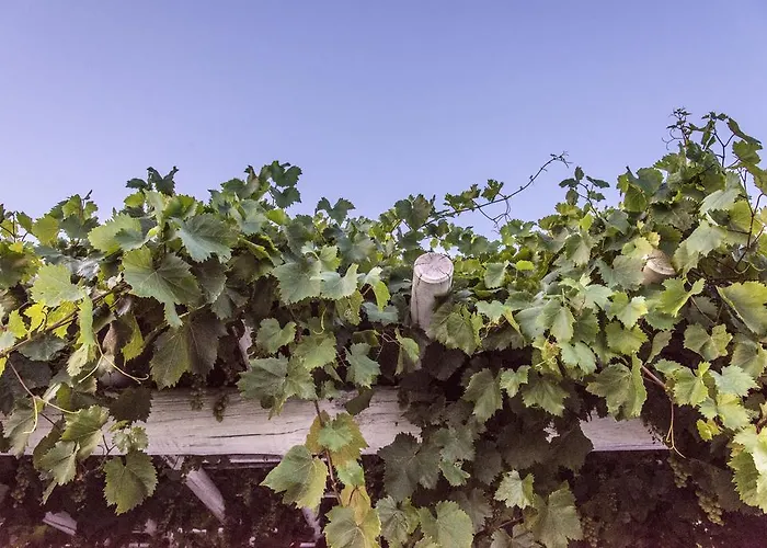 Didymes Studios Apartment